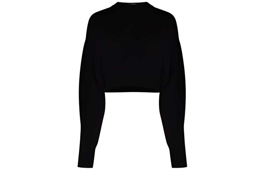 Alexander Wang Alexander Wang Sweater Women's Black