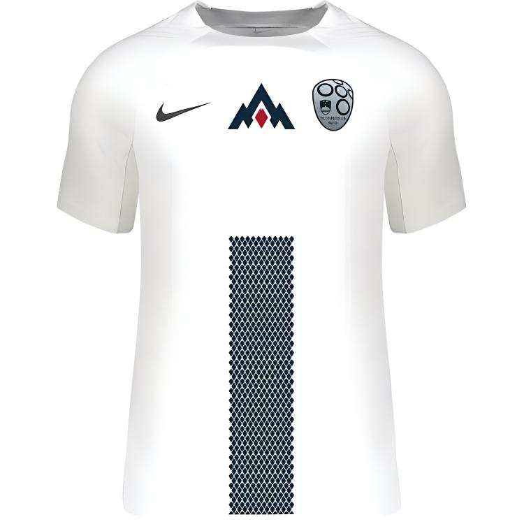 Nike Nike Slovenia National Team Slovenia National Team Jersey Soccer Jersey Men's White