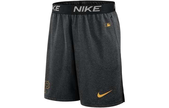 Nike Nike Tampa Bay Rays Authentic Collection City Connect Men's Nike Dri FIT Mlb Shorts