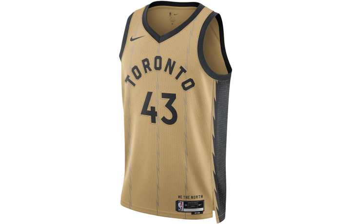 Nike Nike Pascal Siakam Toronto Raptors Jersey