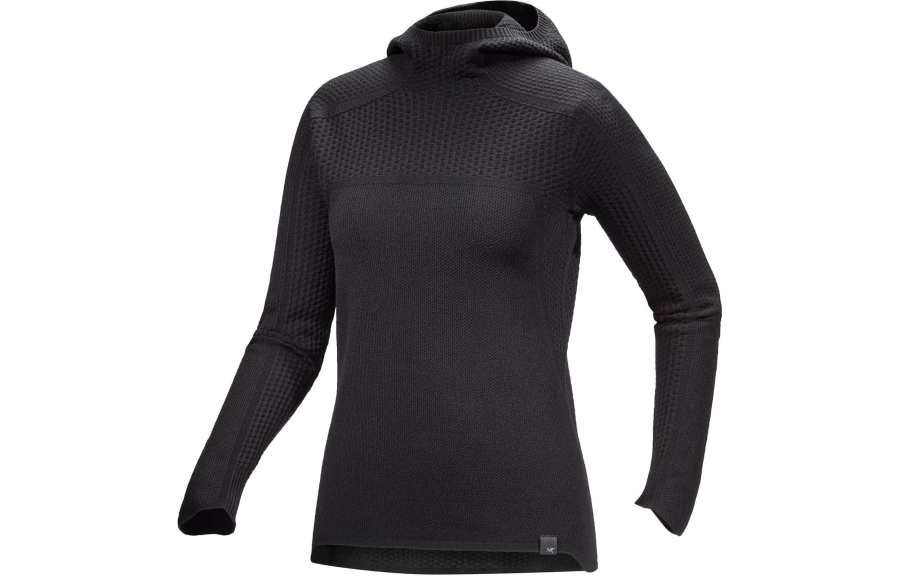 Arcteryx Arc'teryx Hallam Merino Wool Hoody Sweater Women's