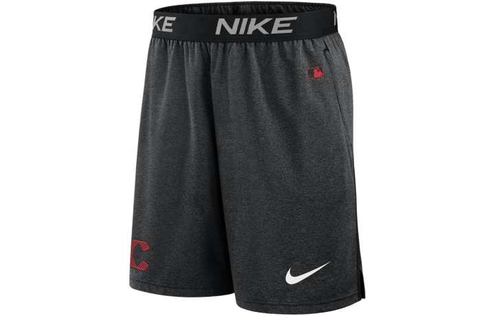 Nike Nike Cincinnati Reds City Connect Practice Men's Nike Dri-FIT Mlb Shorts