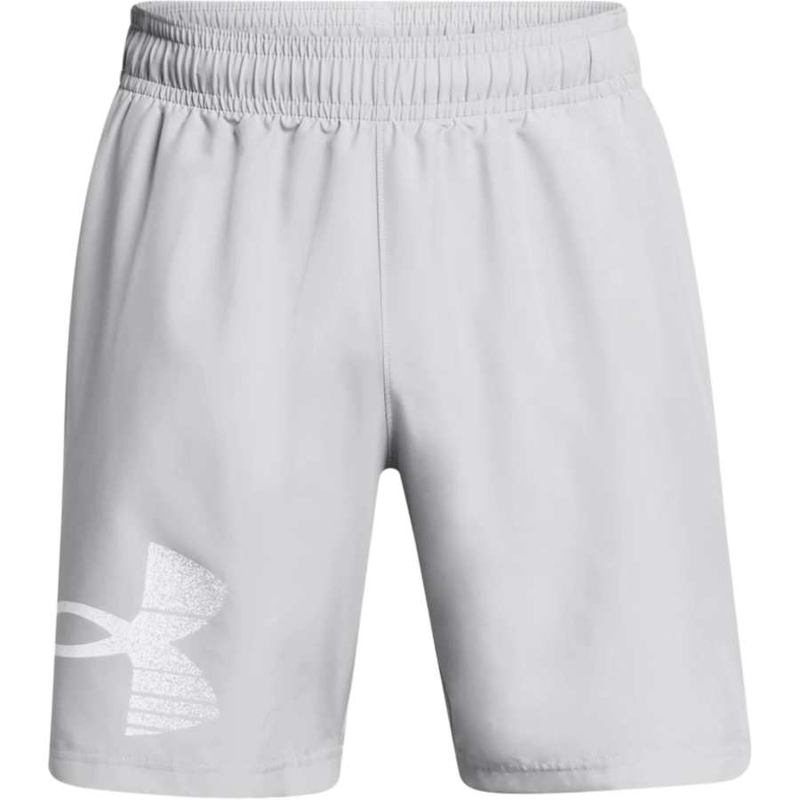 Under Armour Woven Collection UA Tech™ Graphic Shorts Casual Shorts Men's Gray
