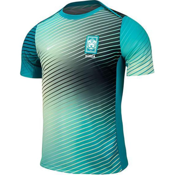 Nike Nike Korea National Team Soccer Jersey Men's Snowflake Plaster/Blue Nebula/White