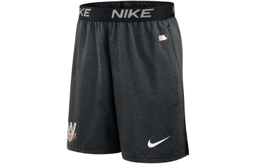 Nike Nike Washington Nationals City Connect Practice Men's Nike Dri-FIT Mlb Shorts