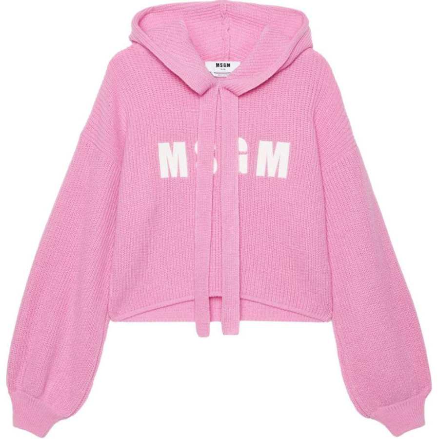 MSGM MSGM Embroidered-logo Knitted Hoodie