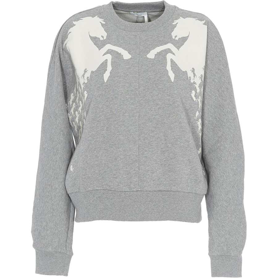 Chloé Sweatshirts Women's Gray Crew Neck Moderate Regular