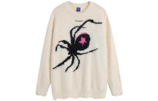 Libito Sweaters Women's Crew Neck Moderate Other