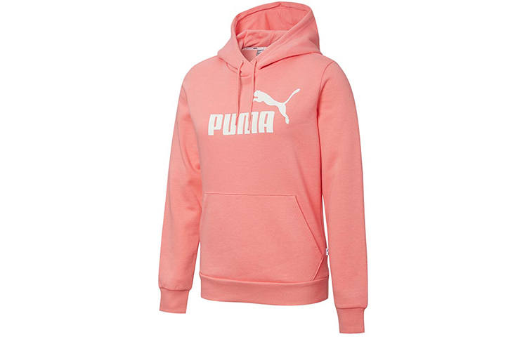 PUMA Ess No. 1 Logo Fleece Hoodie Kids