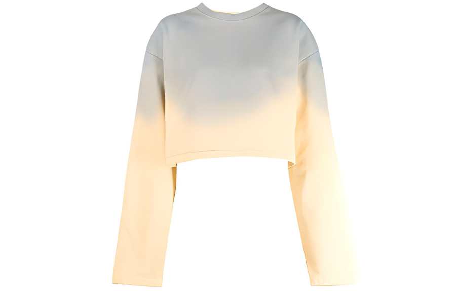 Acne Studios Acne Studios Sweatshirt Women's Blue Yellow