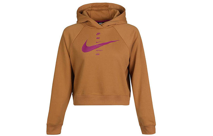Nike Nike Sweatshirts Women's Brown Hooded Moderate Regular