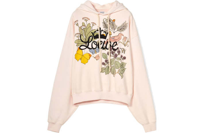 LOEWE LOEWE Herbarium LOEWE Hoodie 'Pink/Multicolor'