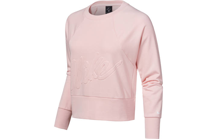 Nike Nike Sweatshirts Women's Pink Crew Neck Moderate Regular