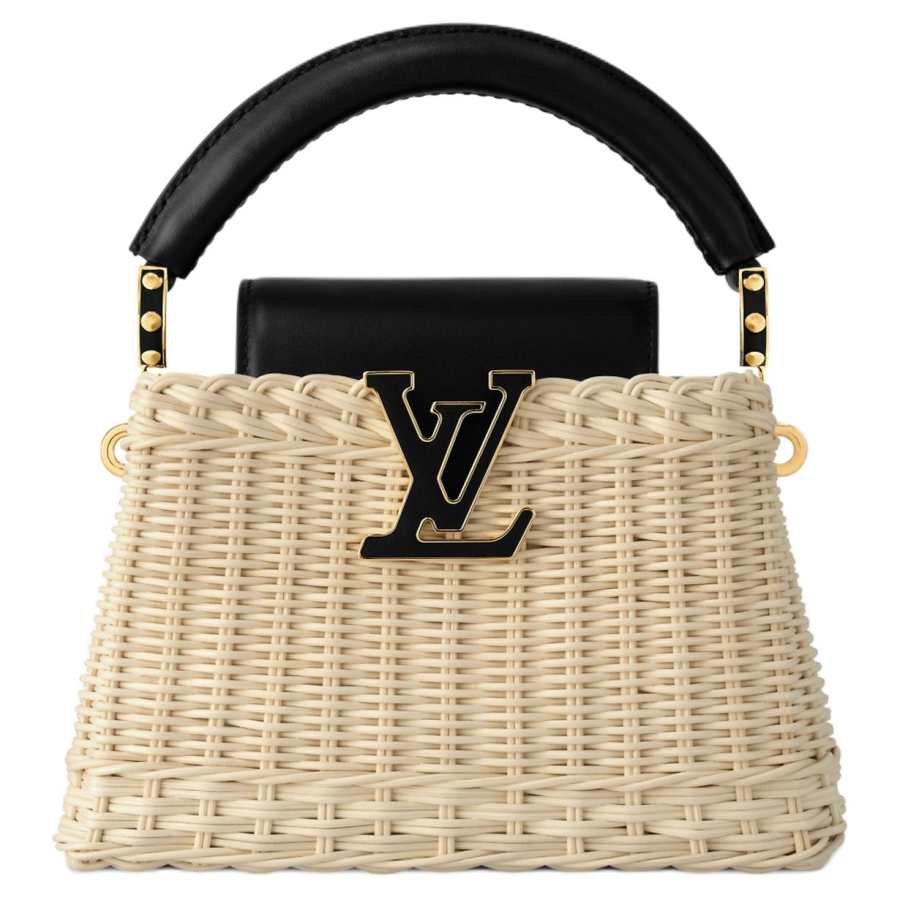 LOUIS VUITTON Lv None