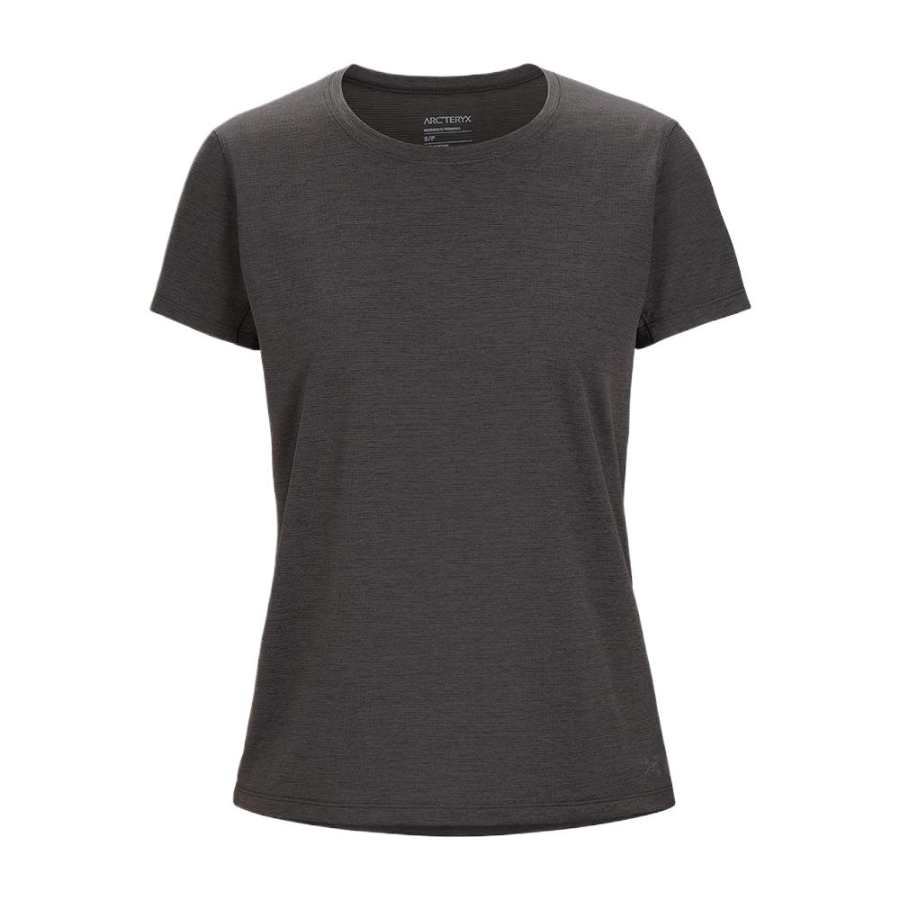 Arcteryx Arc'teryx Regular T Shirt Women's Black Gray