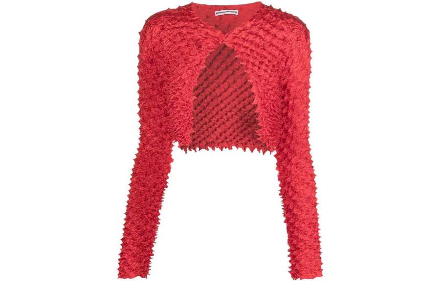 Alexander Wang Knitwear Women's Red
