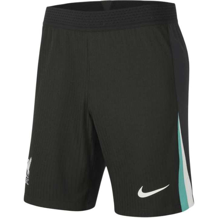 Nike Nike LiverpoolFC Dri FIT ADV Soccer Bottom Men's Night Forest/Dark Gray/Washed Cyan/Canvas
