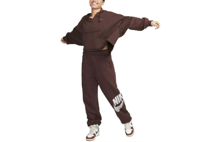 Nike Nike Sweatshirts Women's Brown Hooded Moderate Regular