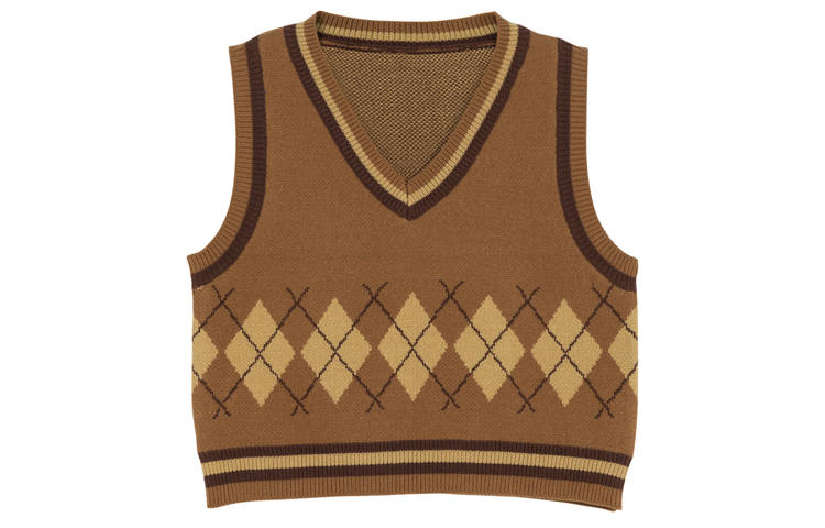 SNBL Knitwear Women's Brown V Neck Moderate Other