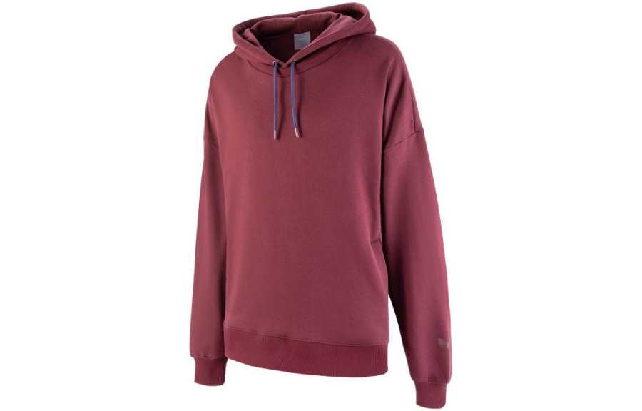PUMA Harris Hoodie 'Aubergine'