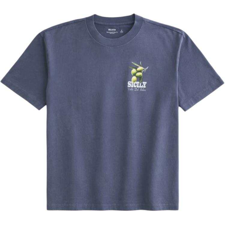 Hollister/ Hollister T Shirt Men's Light Marine Blue