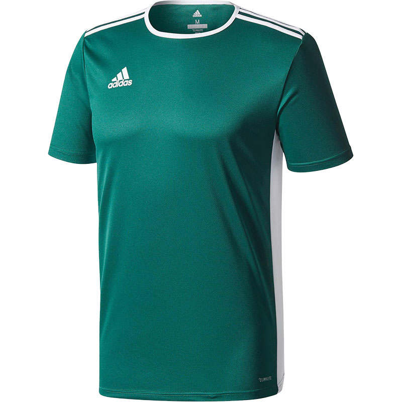 Adidas Adidas Soccer Jerseys Men's Green Moderate