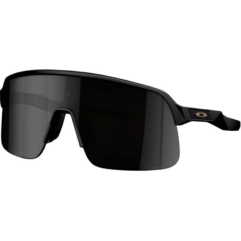 Oakley Oakley Everyday Unisex Cycling Glass