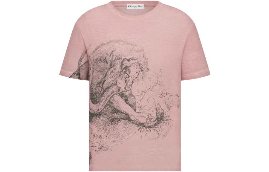 DIOR T Shirts Women's Pink Crew Neck Moderate Straight Fit