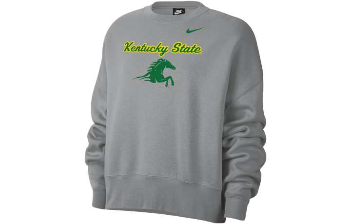 Nike Nike Sweatshirts Women's Gray Crew Neck Moderate Regular
