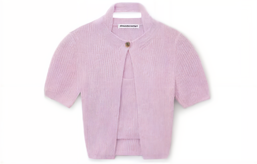 Alexander Wang Knitwear Women's Purple