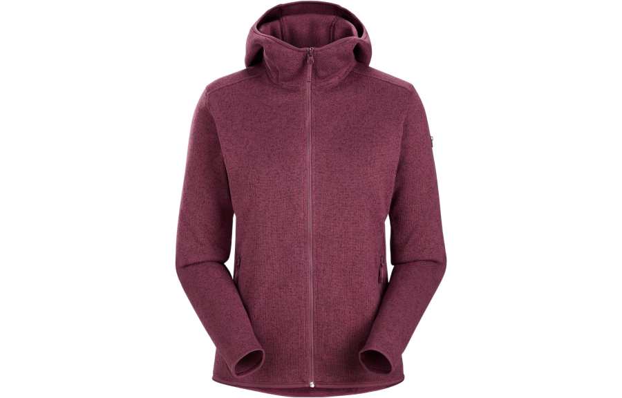 Arcteryx Arc'teryx COVERT Fleece Clothing Women's