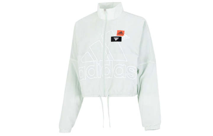 Adidas Adidas Jacket Fall Women's Green