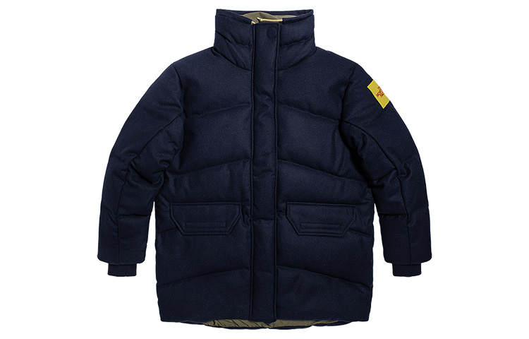 THE NORTH FACE Down Jackets Women's Blue Stand Collar Thickened Other