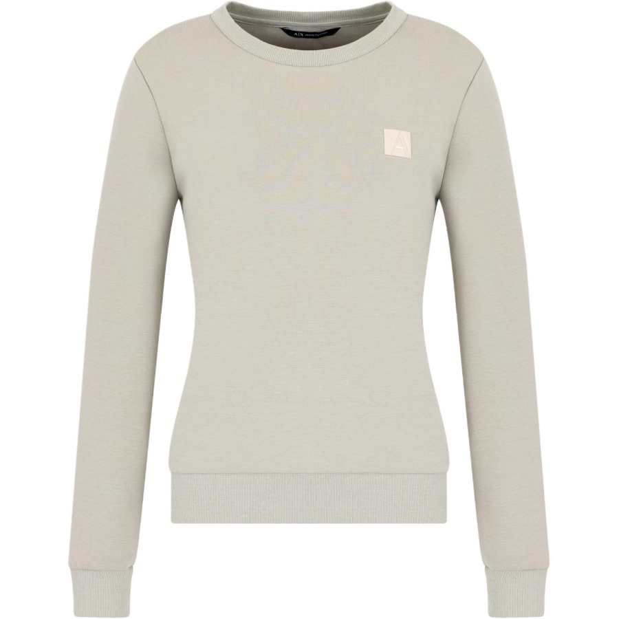 ARMANI EXCHANGE ARMANI EXCHANGEAE FW24 Sweatshirt Women's Gray