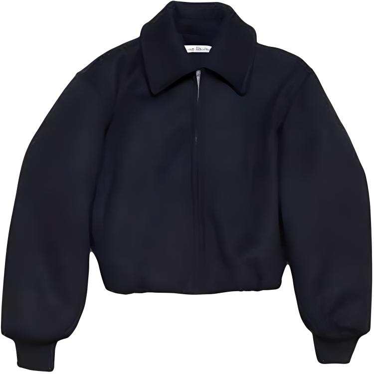Acne Studios Acne Studios Allegro Bomber Jacket