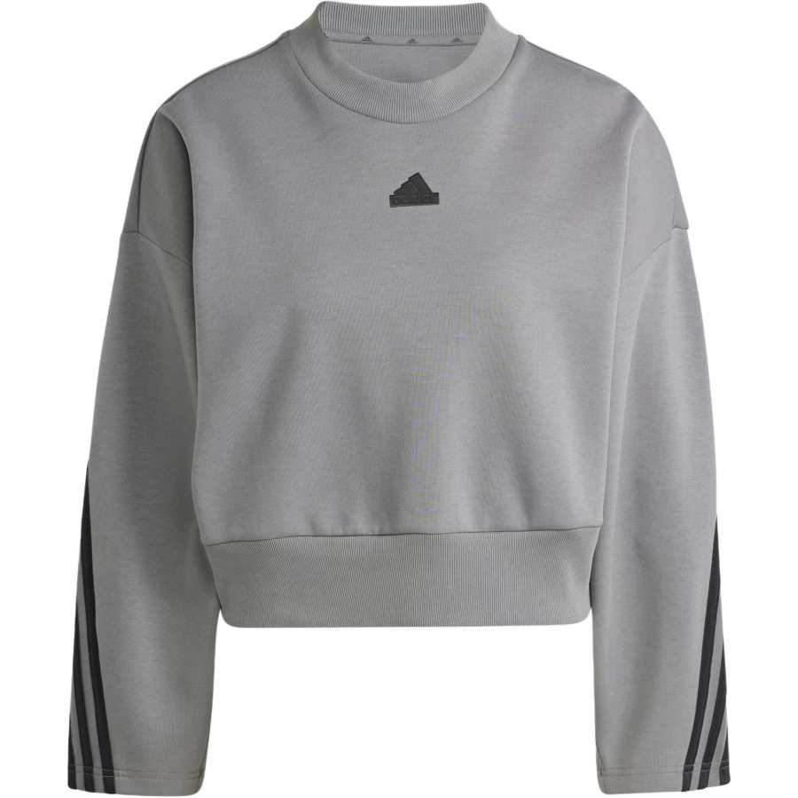 Adidas Adidas Future Icons FW24 3 Stripes Sweatshirt Women's Gray