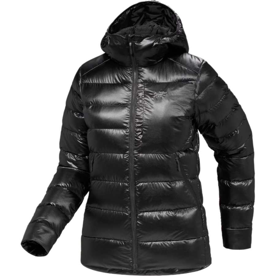 Arcteryx Arc'teryx CERIUM SV Down Jacket Women's