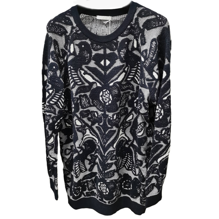 Chloé Knitwear Women's Blue Crew Neck Moderate Straight Fit
