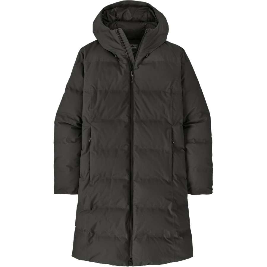Patagonia Jackson Glacier coat