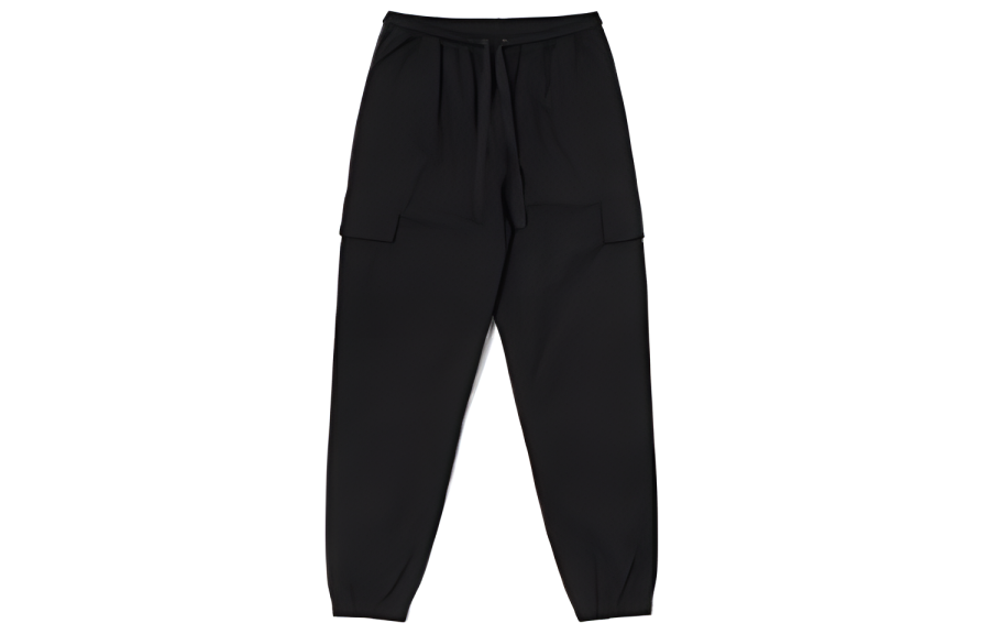 Dickies SS23 Casual Pants Women's Black