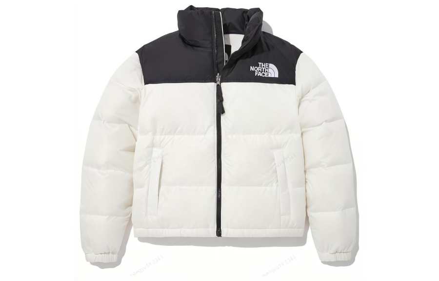 THE NORTH FACE 1996 Retro Nuptse 700 Fill Packable Jacket Tnf White