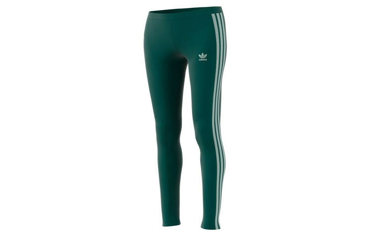 Adidas Originals Knitted Sweatpants Women's Green Moderate Slim Fit Pants