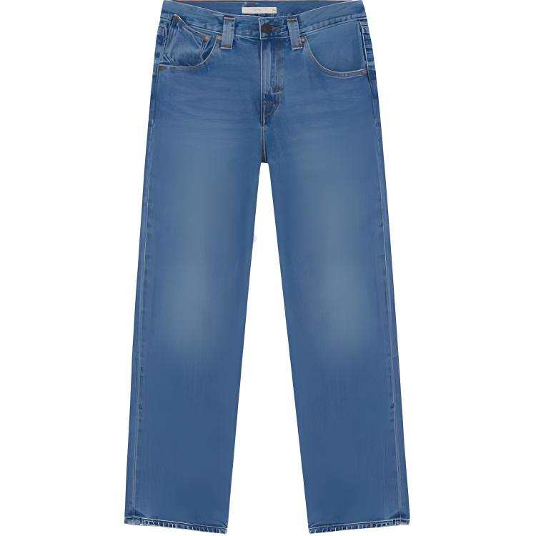 Levis Levis Jeans Women's Blue Moderate Straight Fit Pants