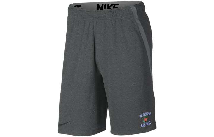 Nike Nike Casual Shorts Women's Dark Gray Moderate