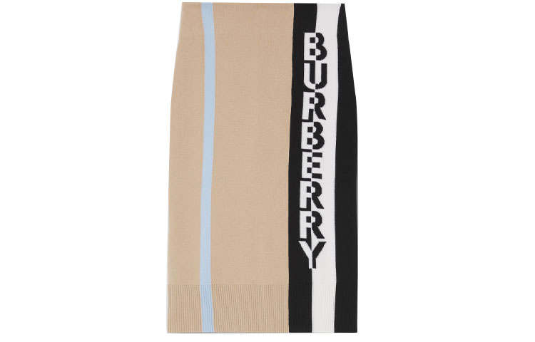 Burberry Leather Long Skirts Women's Beige Moderate Mid Length Bodycon Skirt
