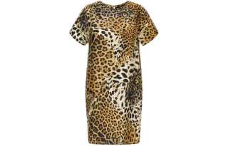 Roberto Cavalli Jaguar Skin Print Dress