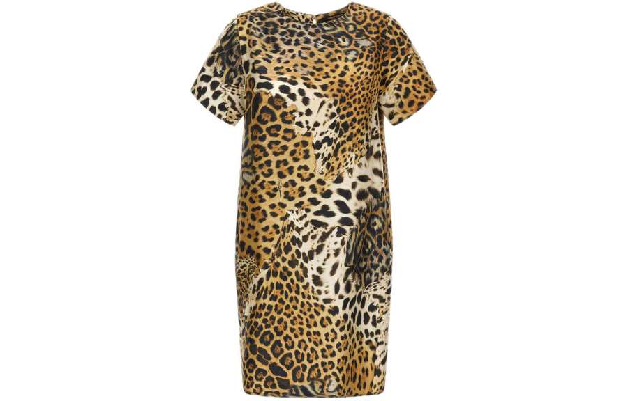 Roberto Cavalli Jaguar Skin Print Dress