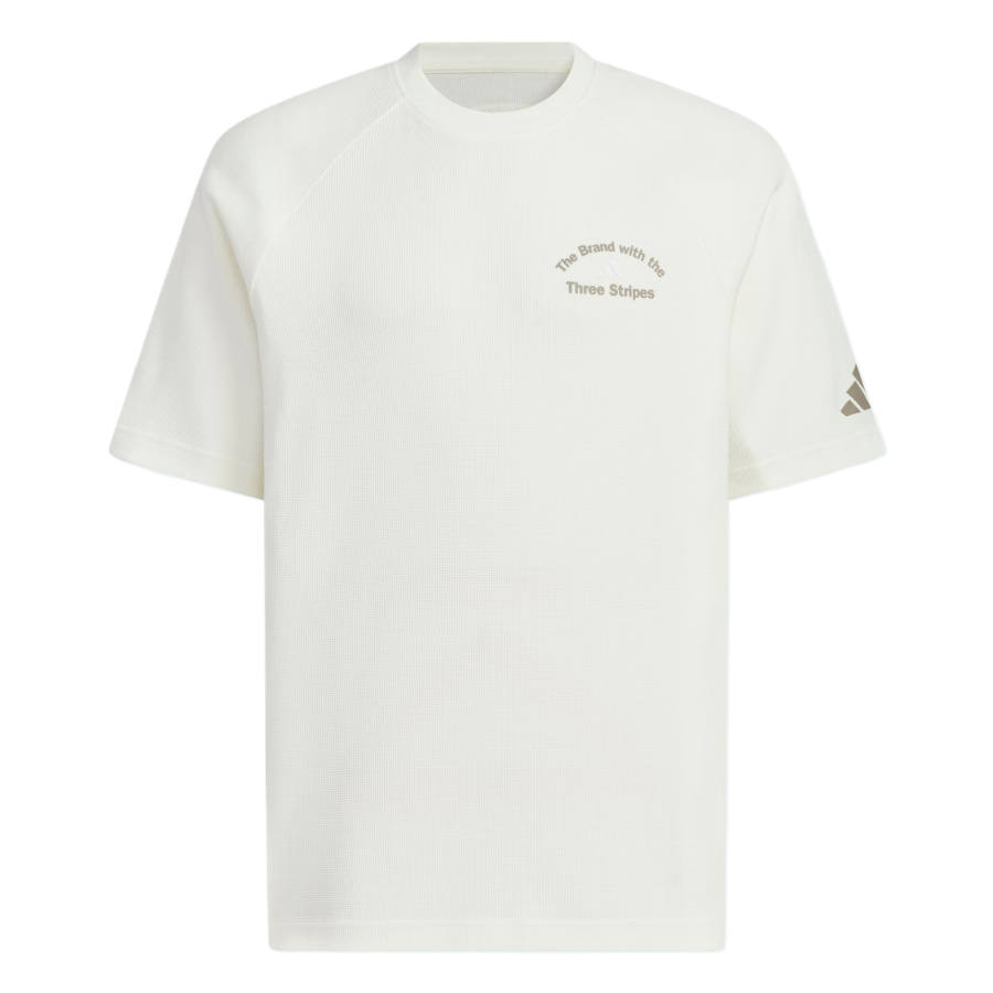 Adidas Adidas GFX SHORT SLEEVE T SHIRT T Shirt Men's Jade White