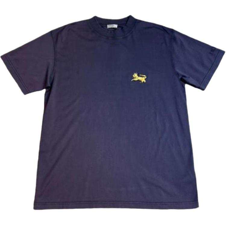 DIOR T Shirts Men's Blue Crew Neck Moderate Straight Fit
