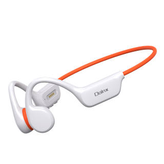 Enjoy Wireless Headphones